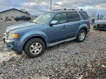 Salvage Ford Escape