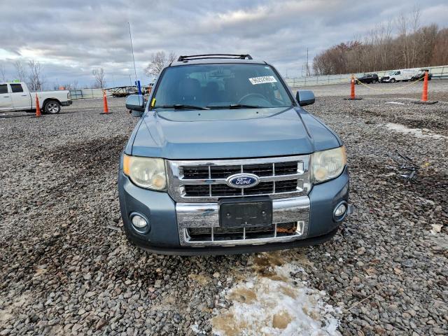 Ford Escape Limited Image 8