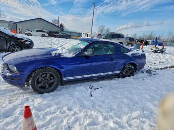  Salvage Ford Mustang