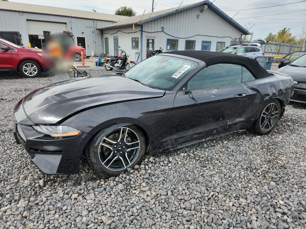 Ford Mustang Image 1