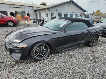 Salvage Ford Mustang
