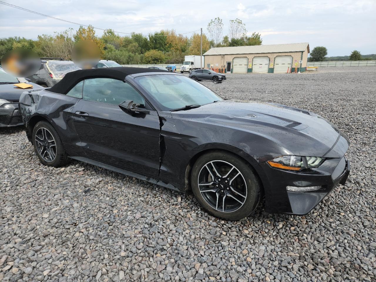 Ford Mustang Image 4