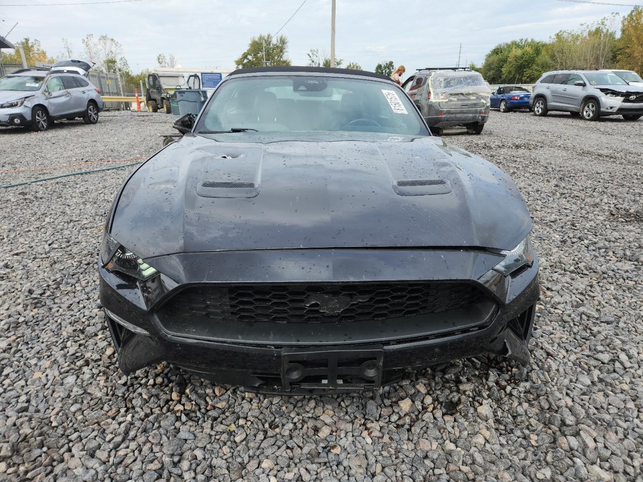 Ford Mustang Image 3