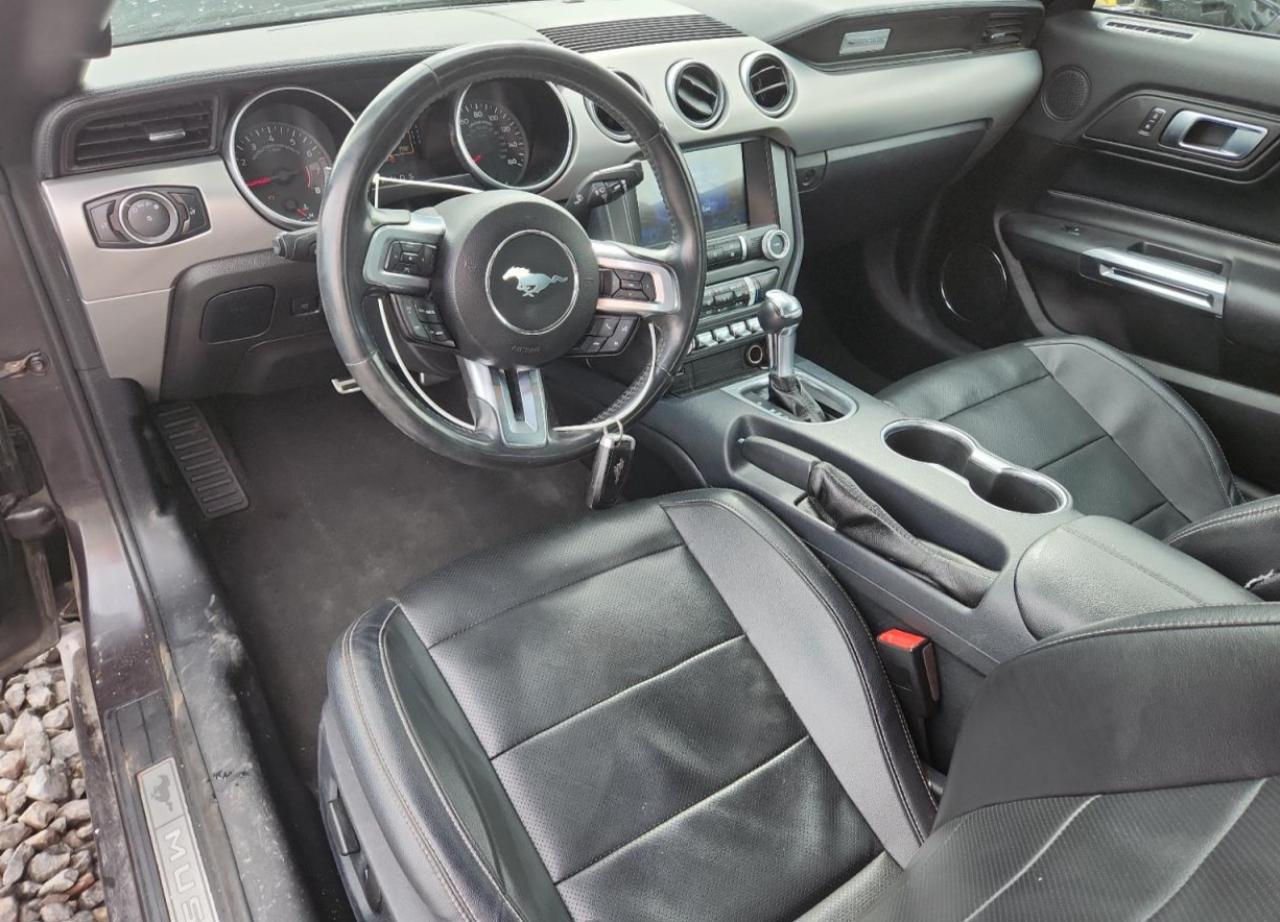 Ford Mustang Image 12