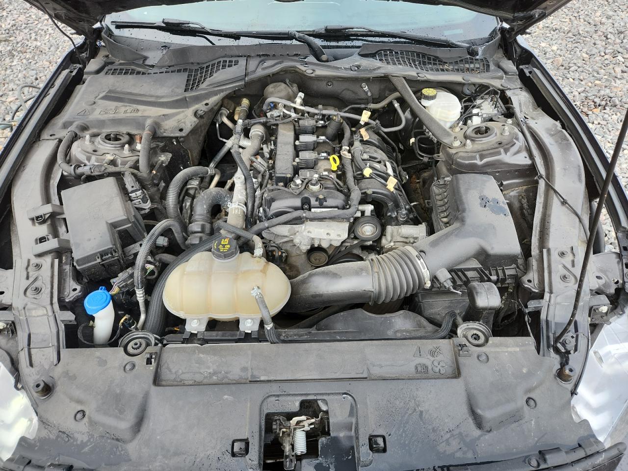 Ford Mustang Image 10