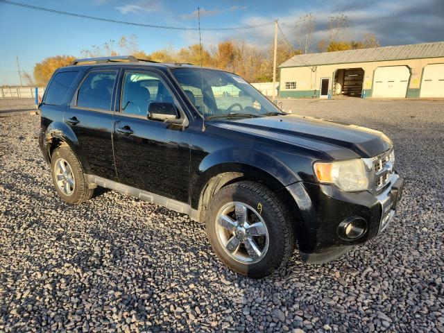 Ford Escape Limited Image 2