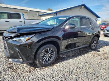  Salvage Lexus NX