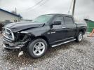 Dodge Ram 1500 Image 1