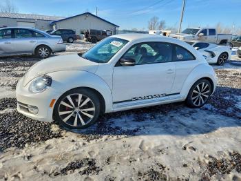  Salvage Volkswagen Beetle