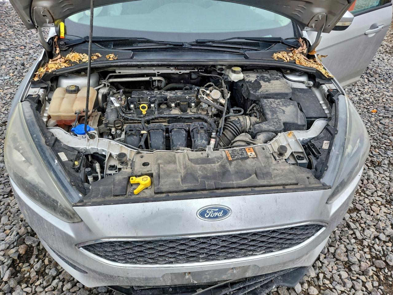 Ford Focus Se Image 3