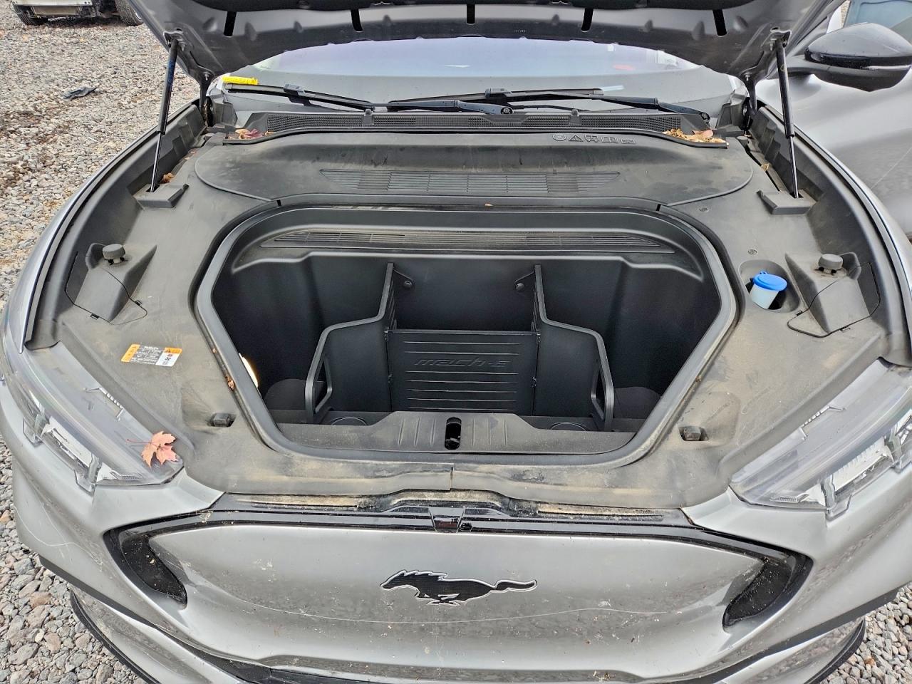 Ford Mustang Premium Image 6