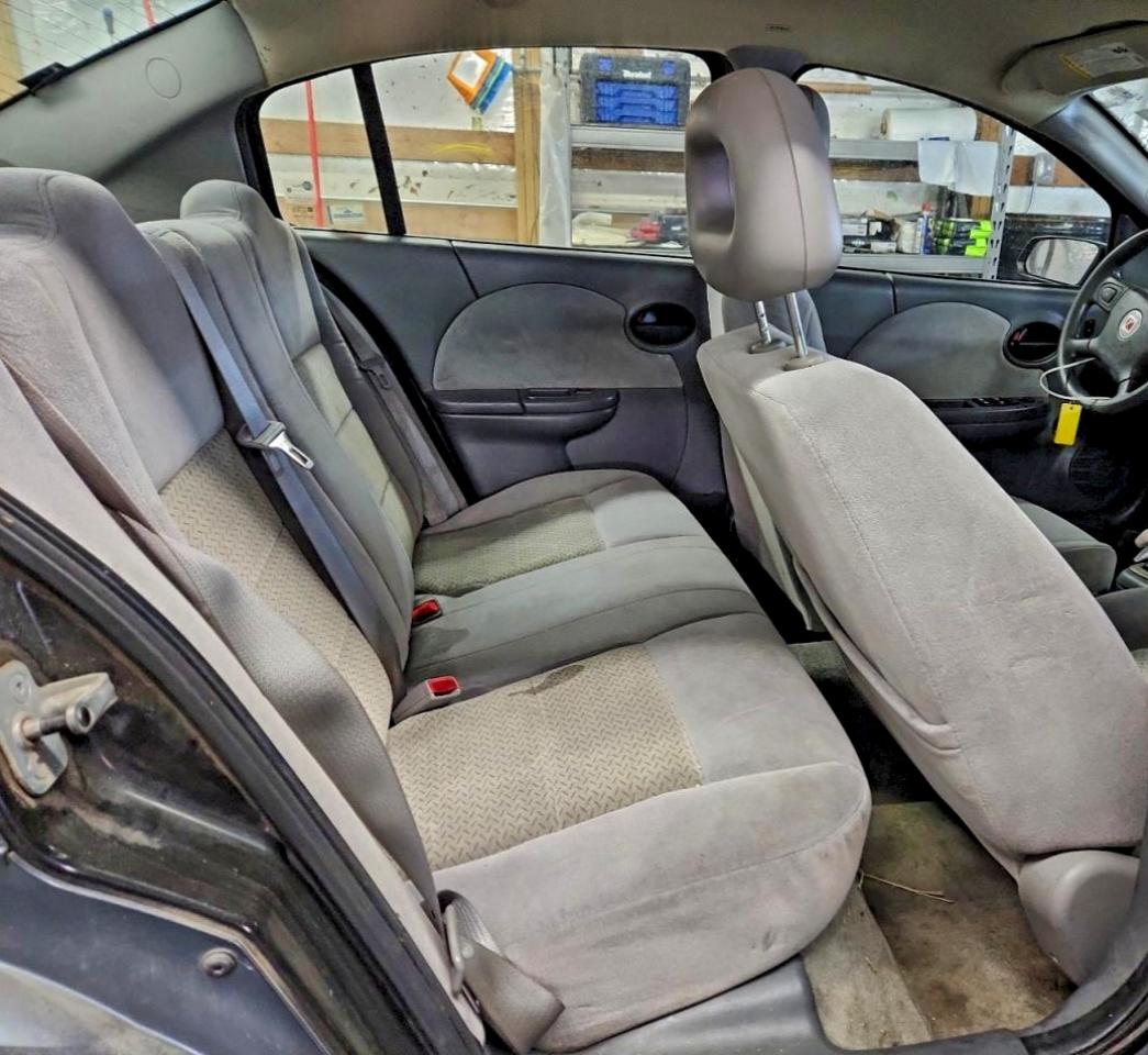 Saturn Ion Level 3 Image 2