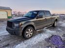 Ford F-150 Supercrew Image 1