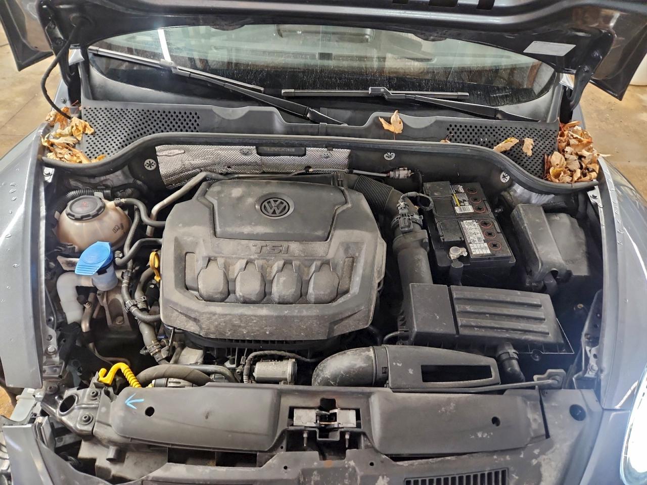 Volkswagen Beetle Se Image 11