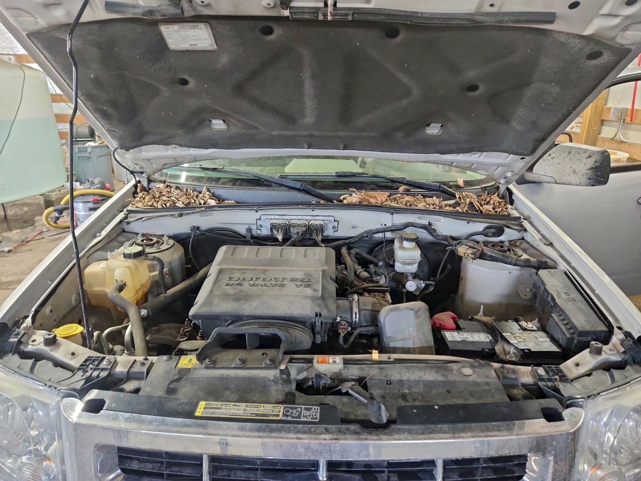 Ford Escape Xlt Image 8