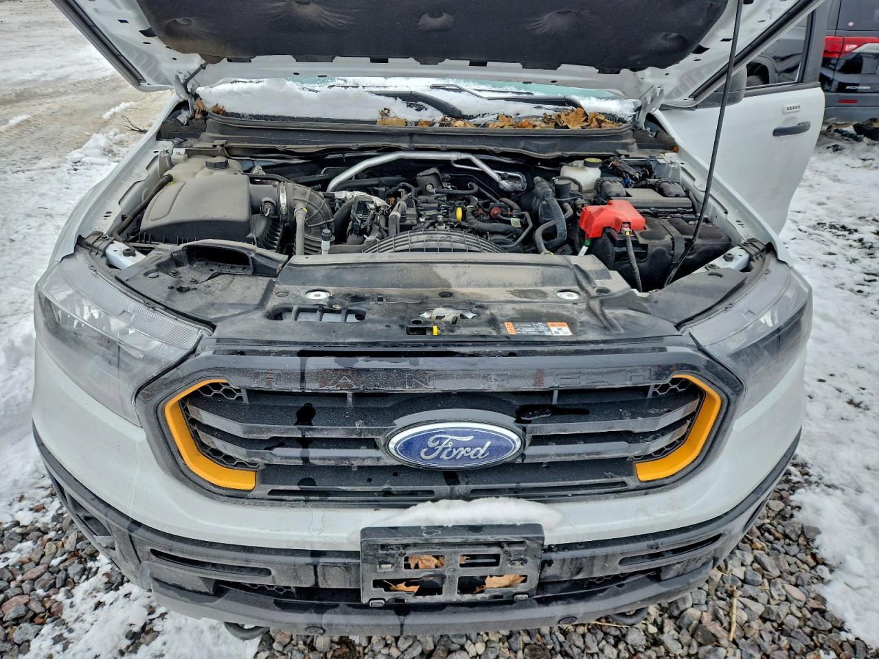 Ford Ranger Xl Image 6