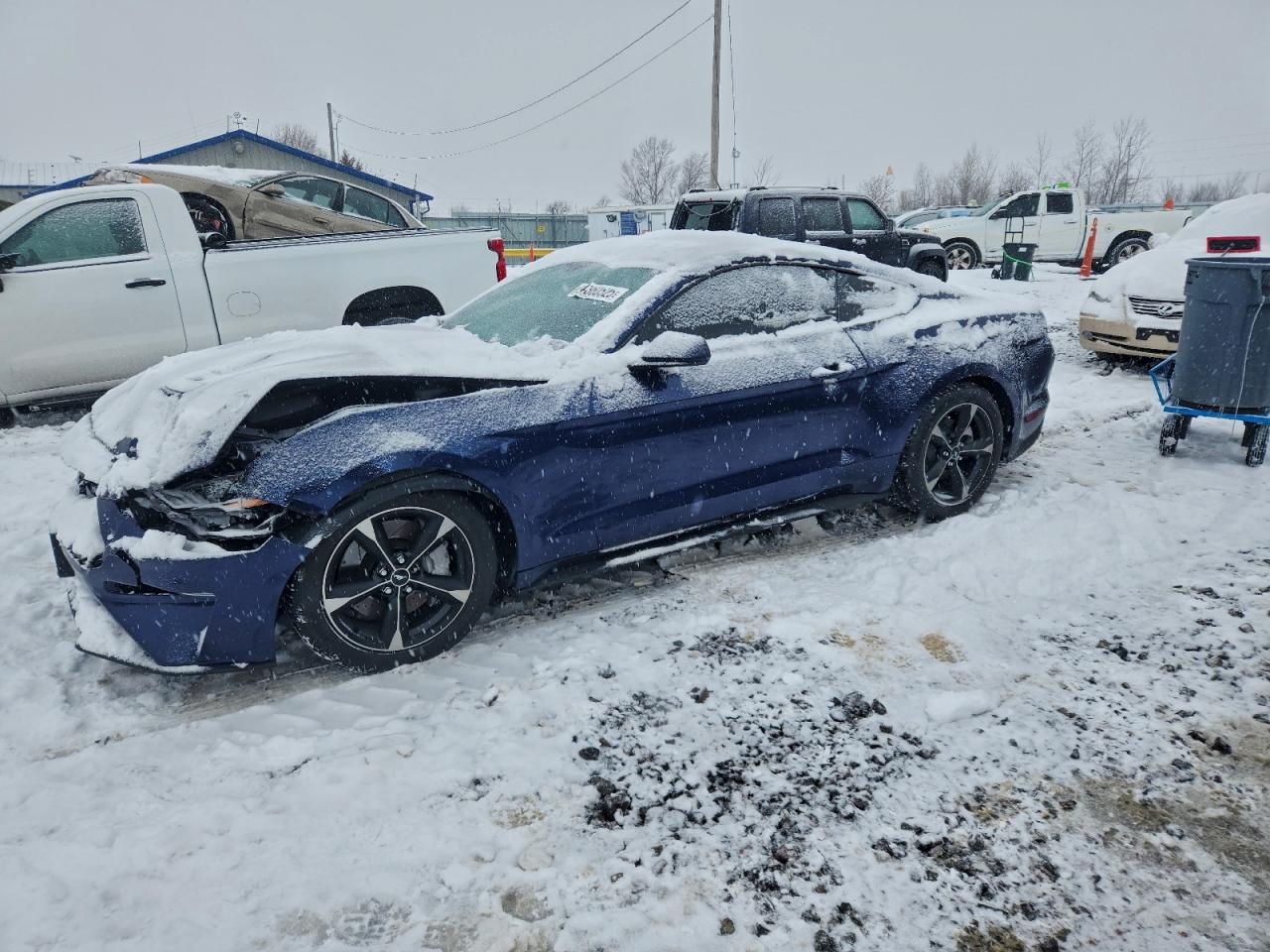 Ford Mustang Image 1