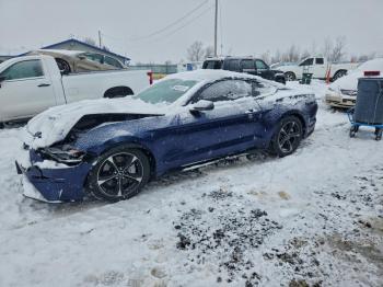  Salvage Ford Mustang