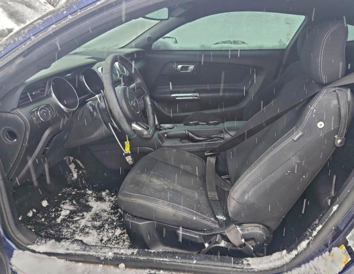 Ford Mustang Image 9