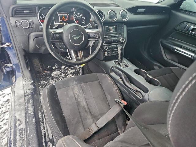 Ford Mustang Image 3