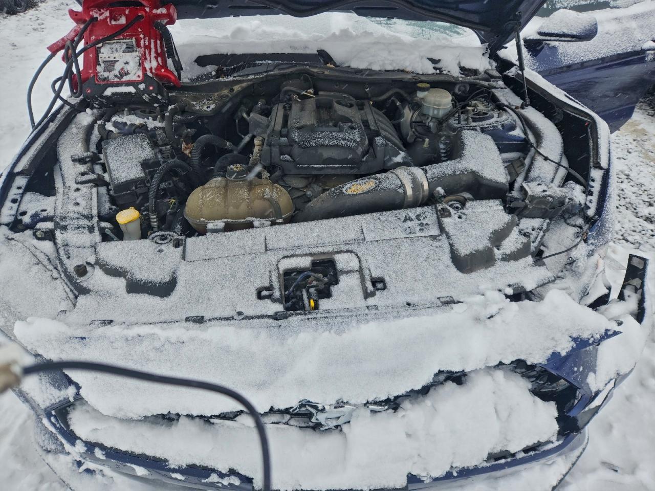 Ford Mustang Image 11