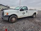 Ford F-150 Image 1