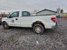 Ford F-150 Image 6