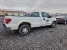 Ford F-150 Image 10
