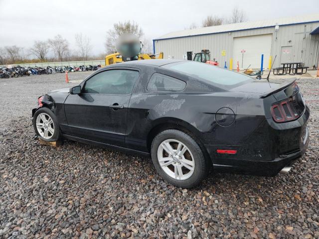 Ford Mustang Image 2