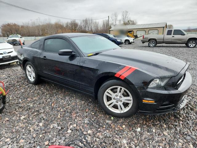 Ford Mustang Image 6