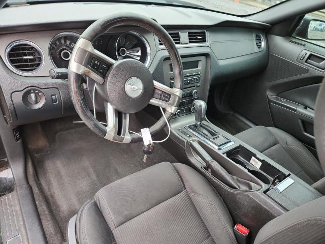 Ford Mustang Image 11