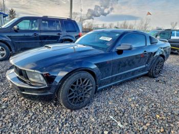  Salvage Ford Mustang