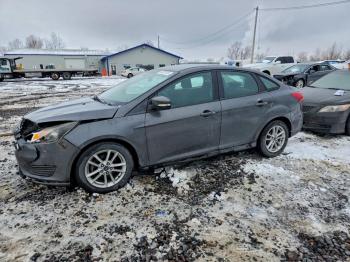  Salvage Ford Focus