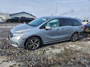  Salvage Honda Odyssey