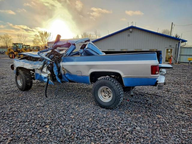 Chevrolet C20 Image 11