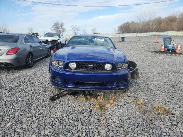 Ford Mustang Gt Image 5