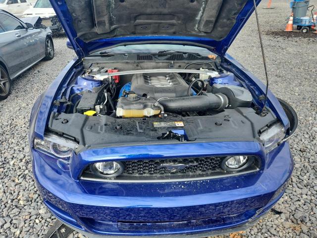 Ford Mustang Gt Image 8