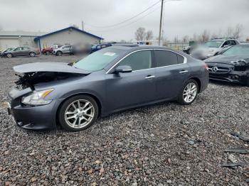  Salvage Nissan Maxima