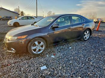  Salvage Acura TSX