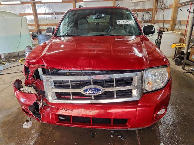 Ford Escape Xlt Image 10