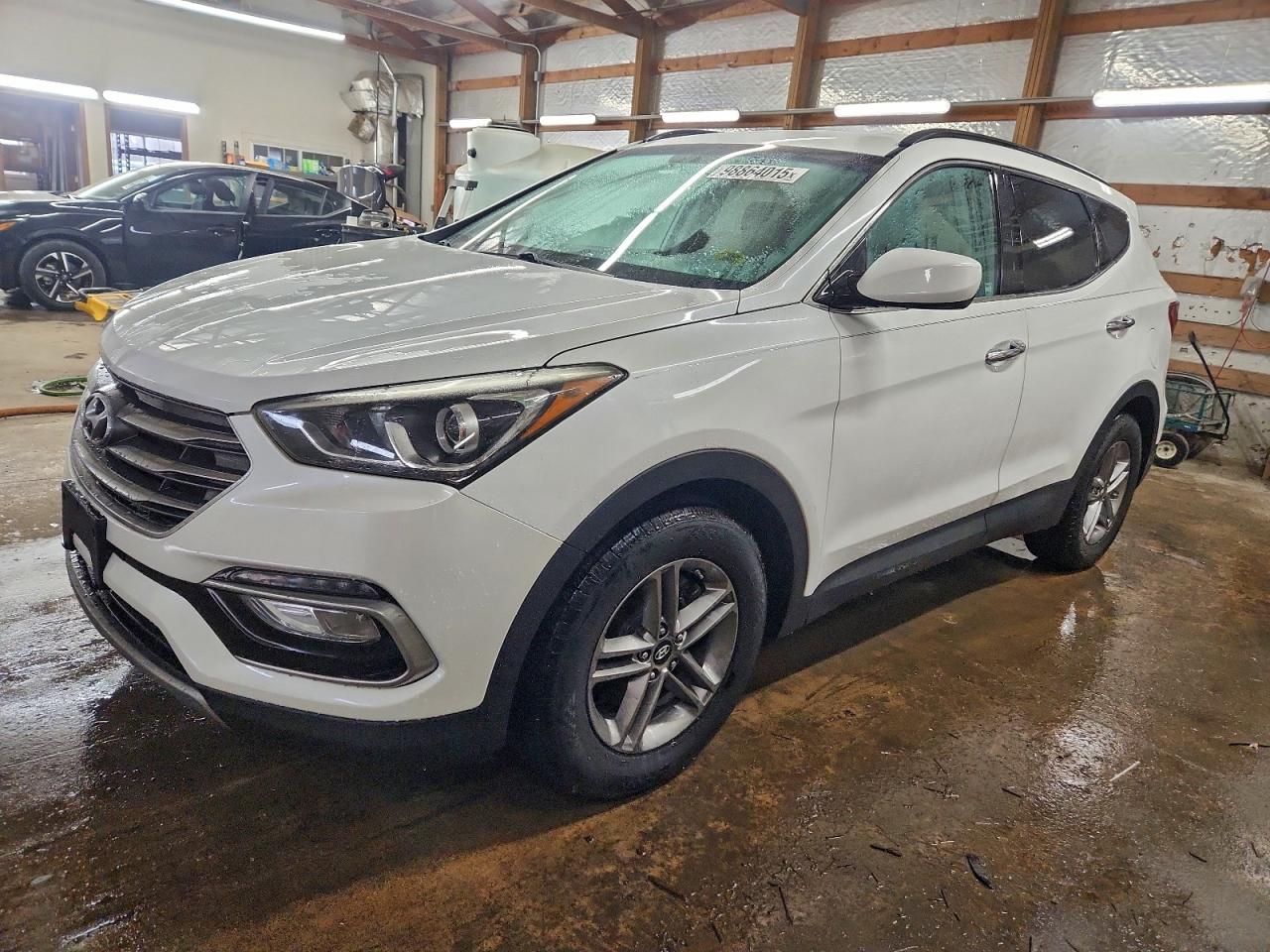 Hyundai SANTA FE Image 1