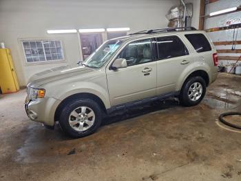  Salvage Ford Escape