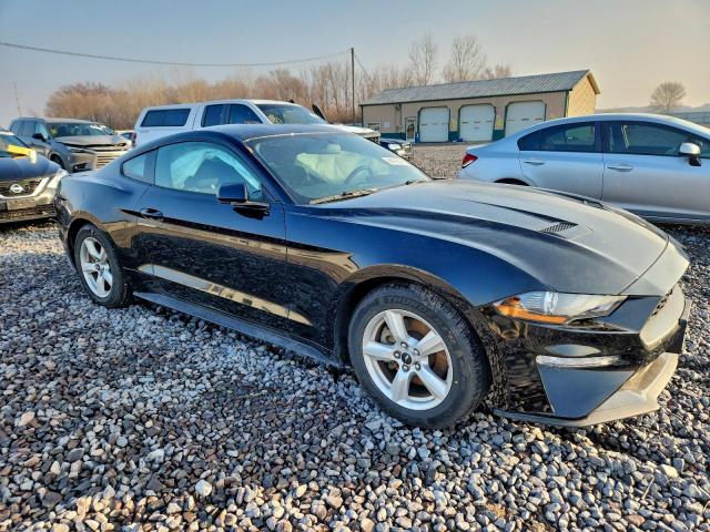 Ford Mustang Image 4