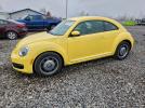 Volkswagen Beetle Image 1