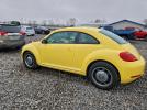 Volkswagen Beetle Image 2