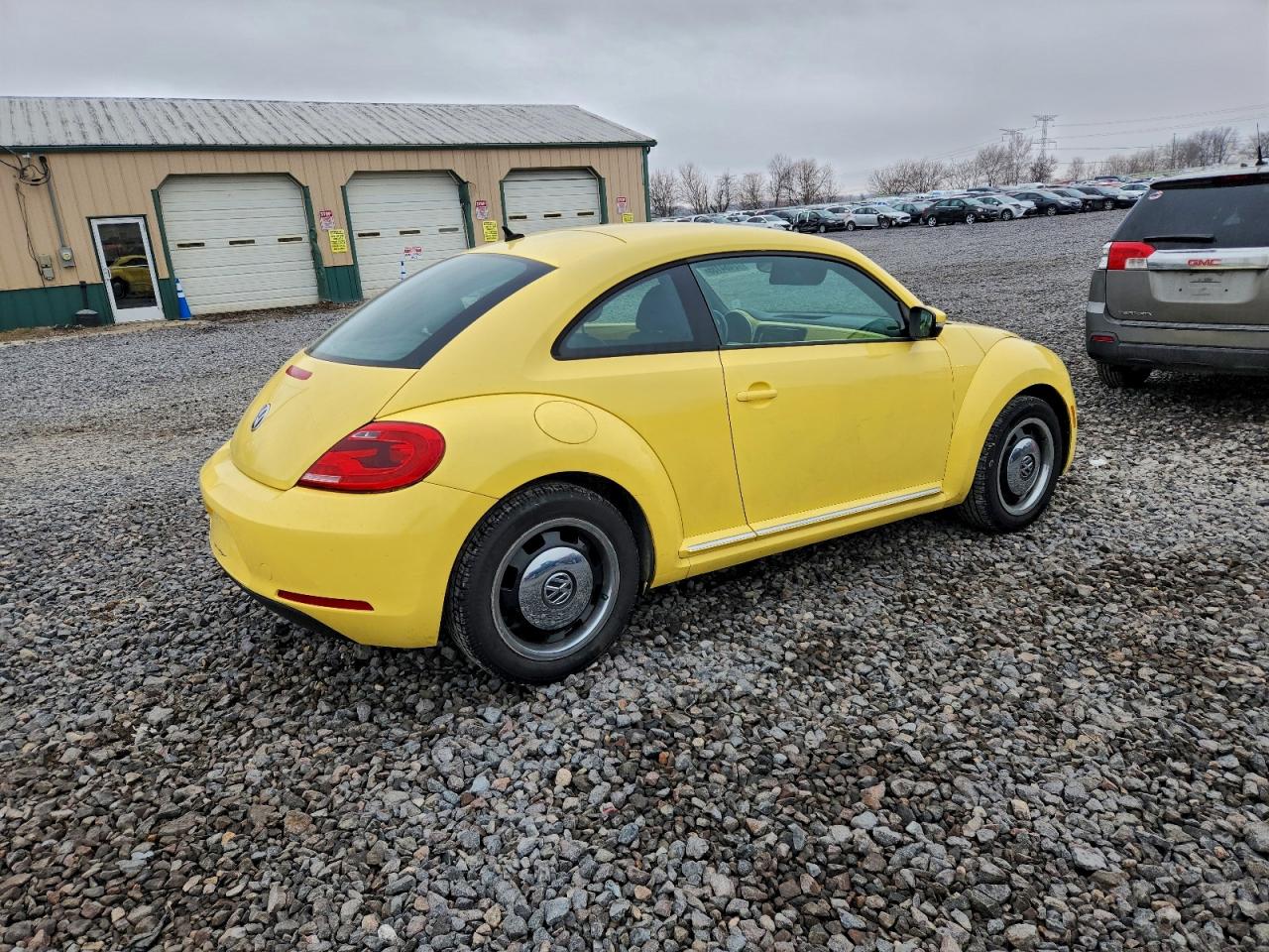 Volkswagen Beetle Image 11