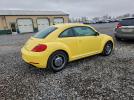 Volkswagen Beetle Image 11