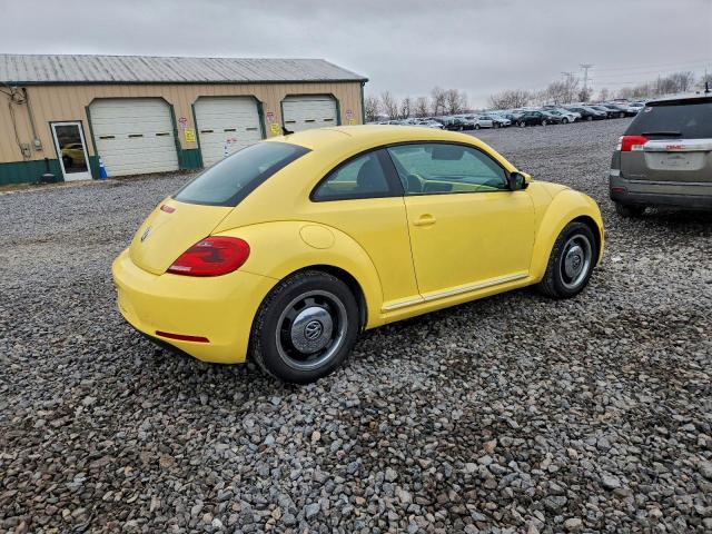 Volkswagen Beetle Image 11
