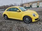 Volkswagen Beetle Image 12
