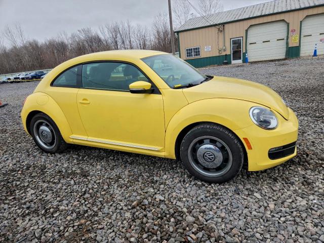 Volkswagen Beetle Image 12